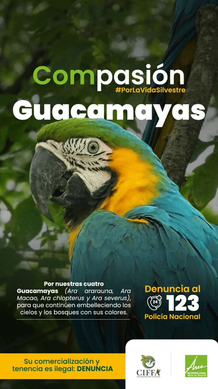 Acciones en conjunto de las autoridades ambientales para la Semana Santa.
