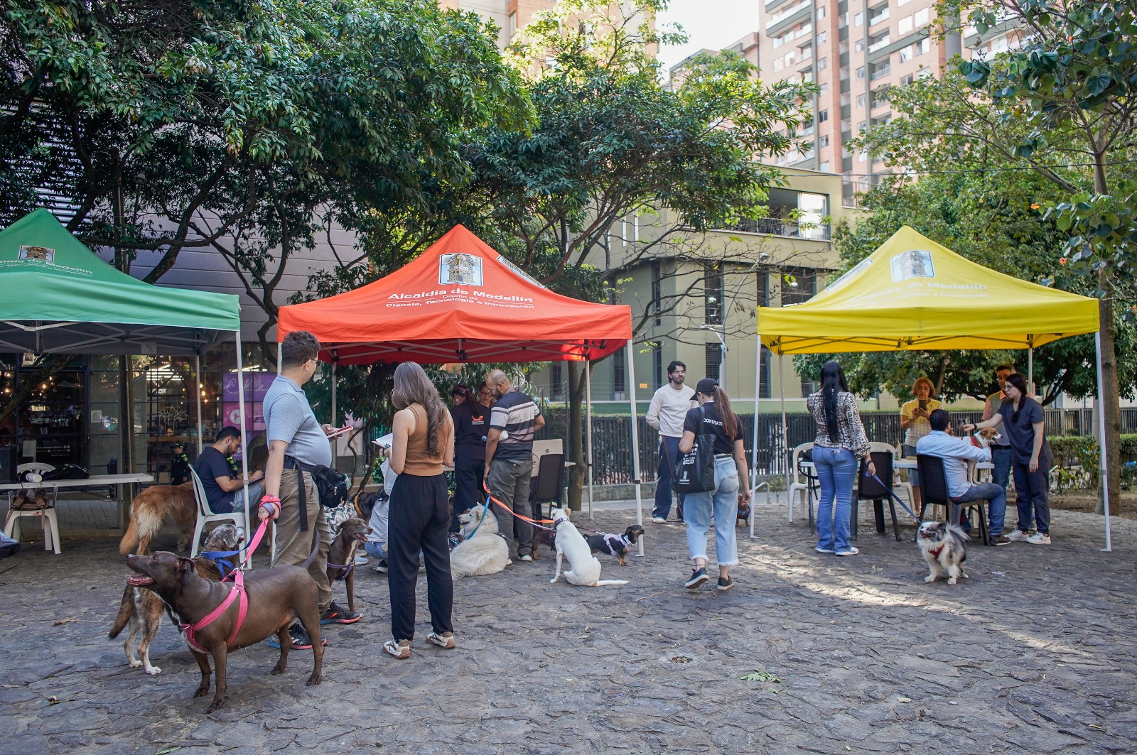 Coolpets regresa a Ciudad del Río con servicios gratuitos para el bienestar animal en Medellín