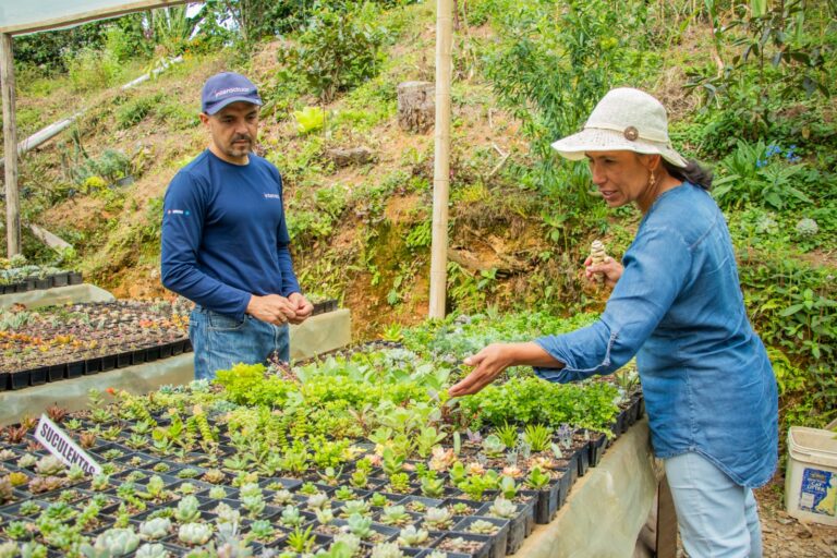 Agroempresas: crecimiento, empleo y transformación que fortalecen los territorios de Colombia