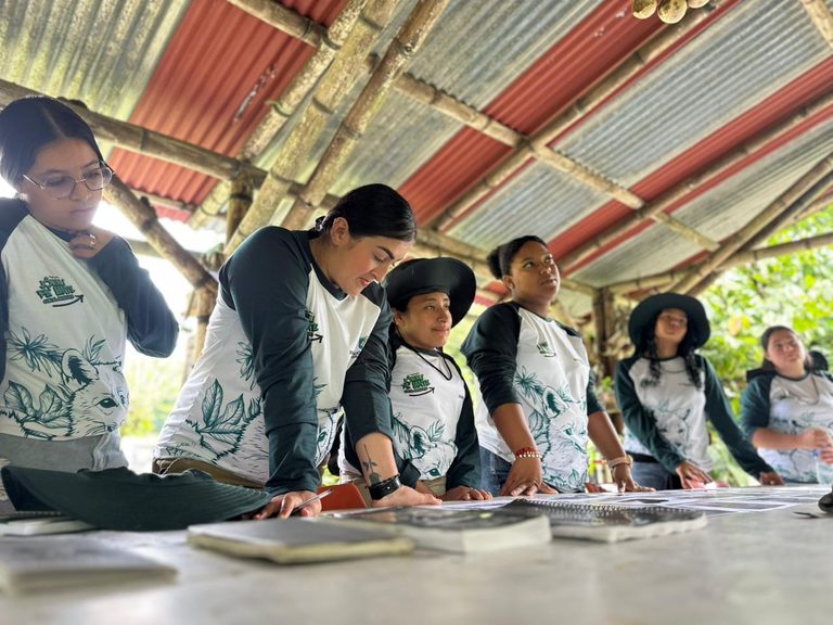Gobernación de Antioquia abre nueva convocatoria de Jóvenes Pa’Lante con el Ambiente