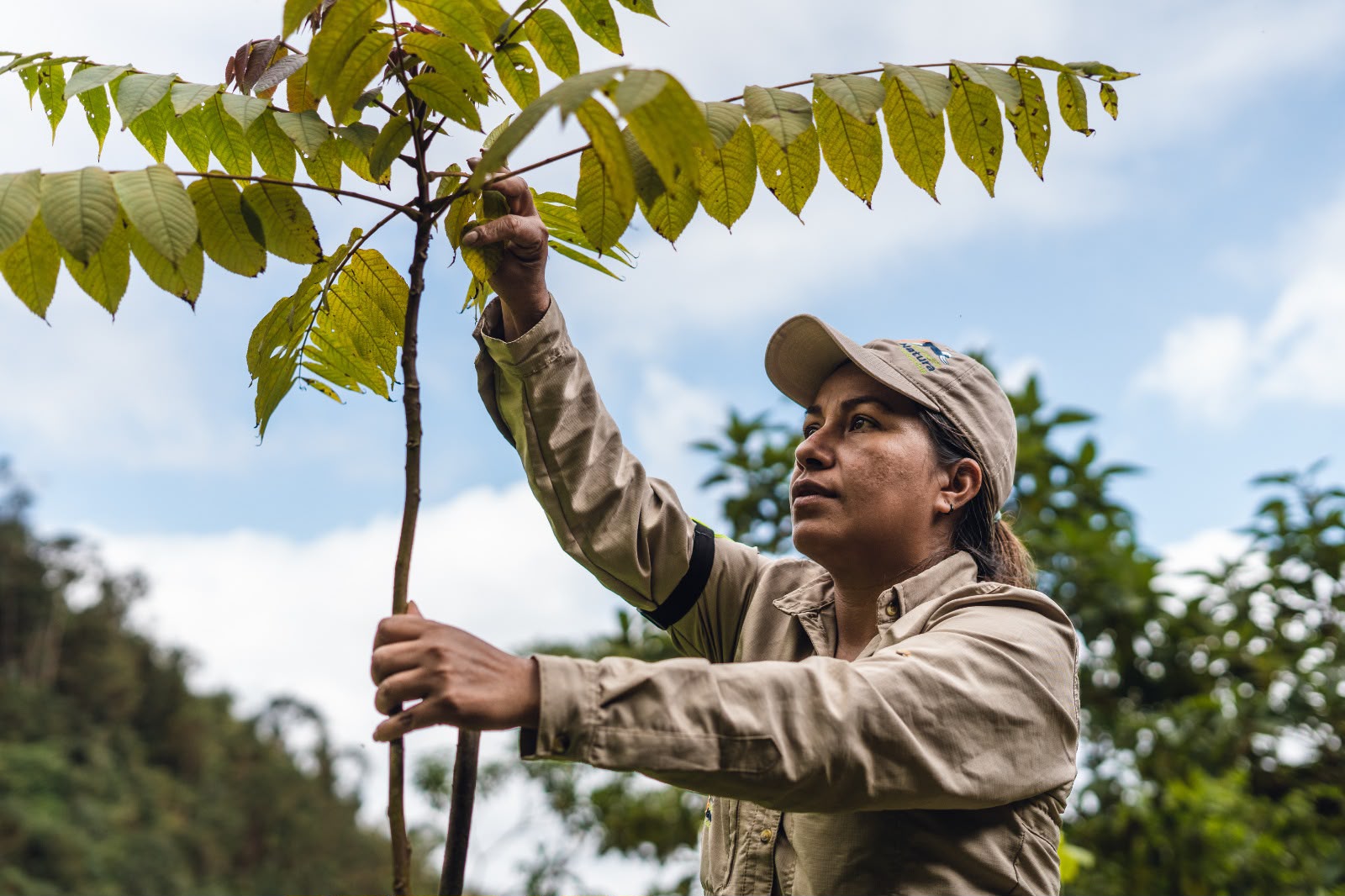EPM y Fundación Natura restauran más de 500 hectáreas de ecosistemas estratégicos para el agua en Cundinamarca