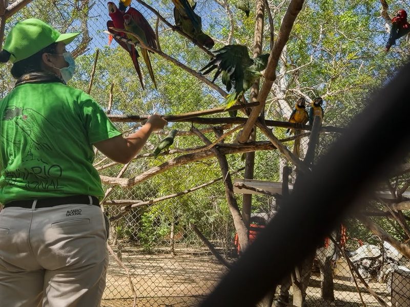 66 animales silvestres del Valle de Aburrá comienzan una nueva etapa en el Aviario Nacional y el Zoológico de Barranquilla.